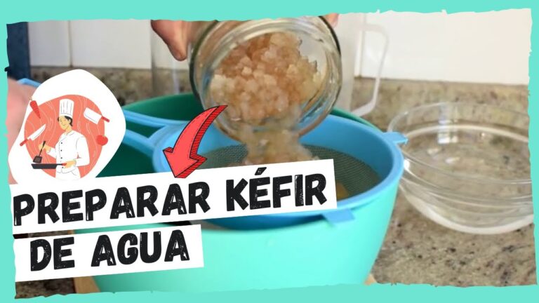 Descubre los diferentes tipos de kefir de agua en una sola lectura